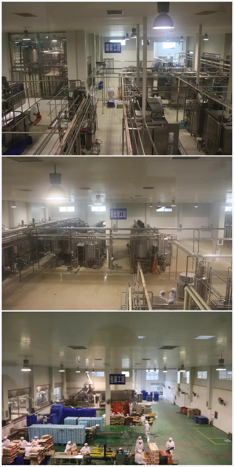 參觀南陽(yáng)三色鴿工廠